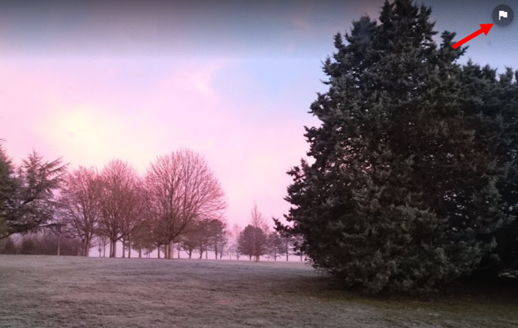 gif-signalement.gif